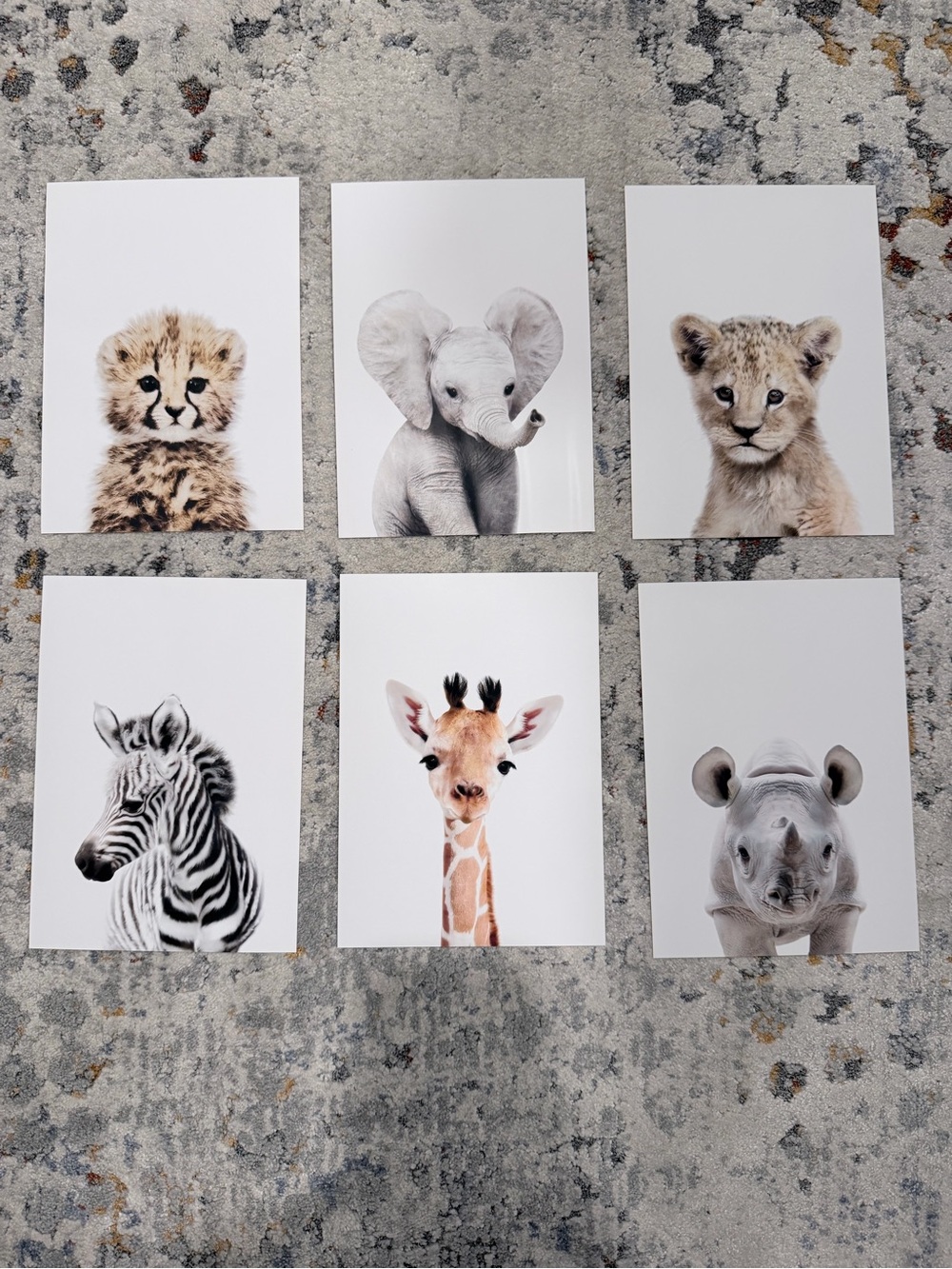 Neutral Safari Animal Wall Art Prints - Set of 6